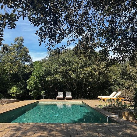 La Canopee Private Ecolodges Nîmes Eksteriør bilde